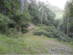 Lot #1 Bent Tree Road, Unit 1 Maggie Valley, NC 28751 - Photo 4 of 22