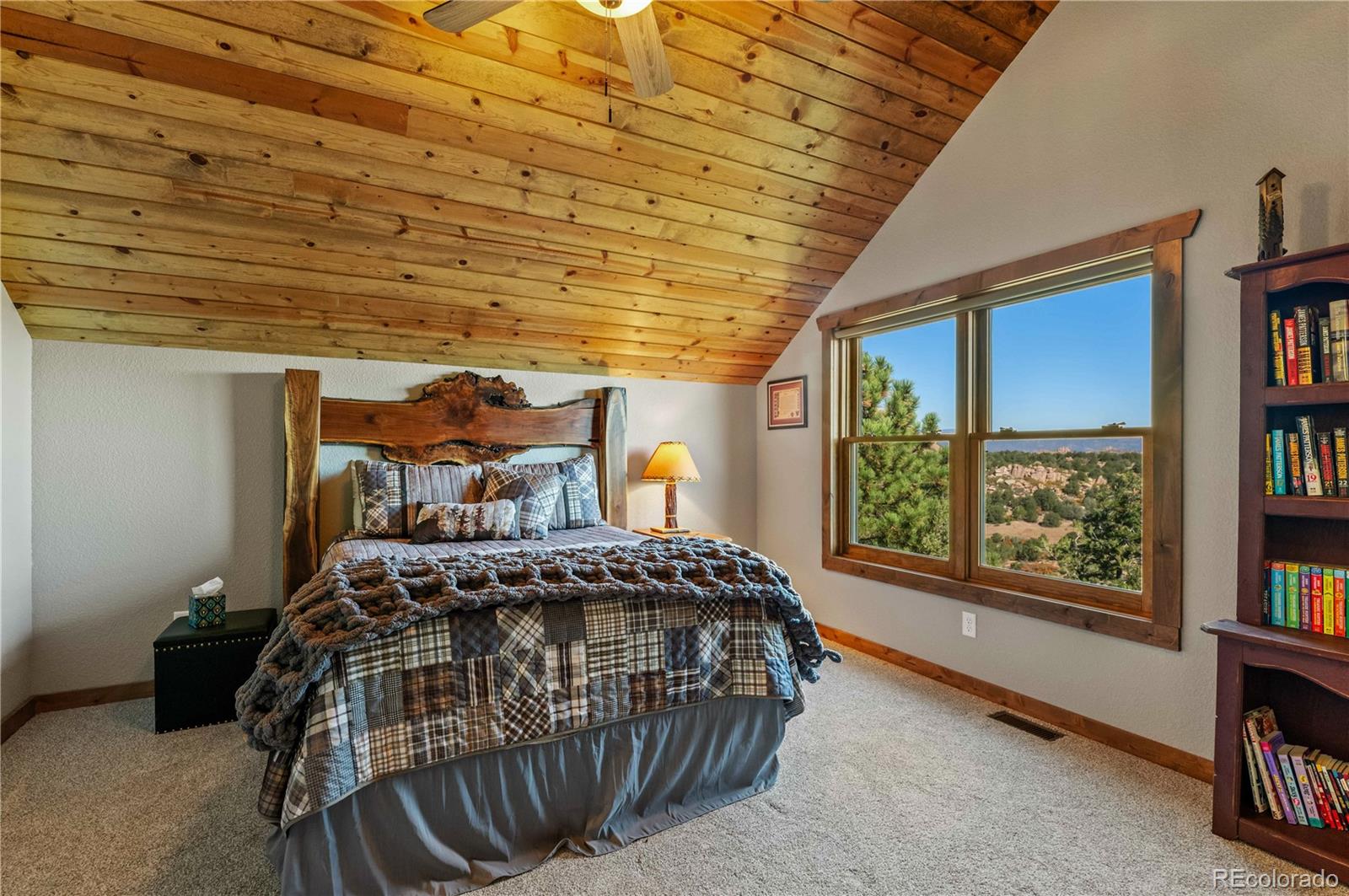 1310 Sunrise Ridge Cotopaxi, CO 81223 - Photo 40 of 50