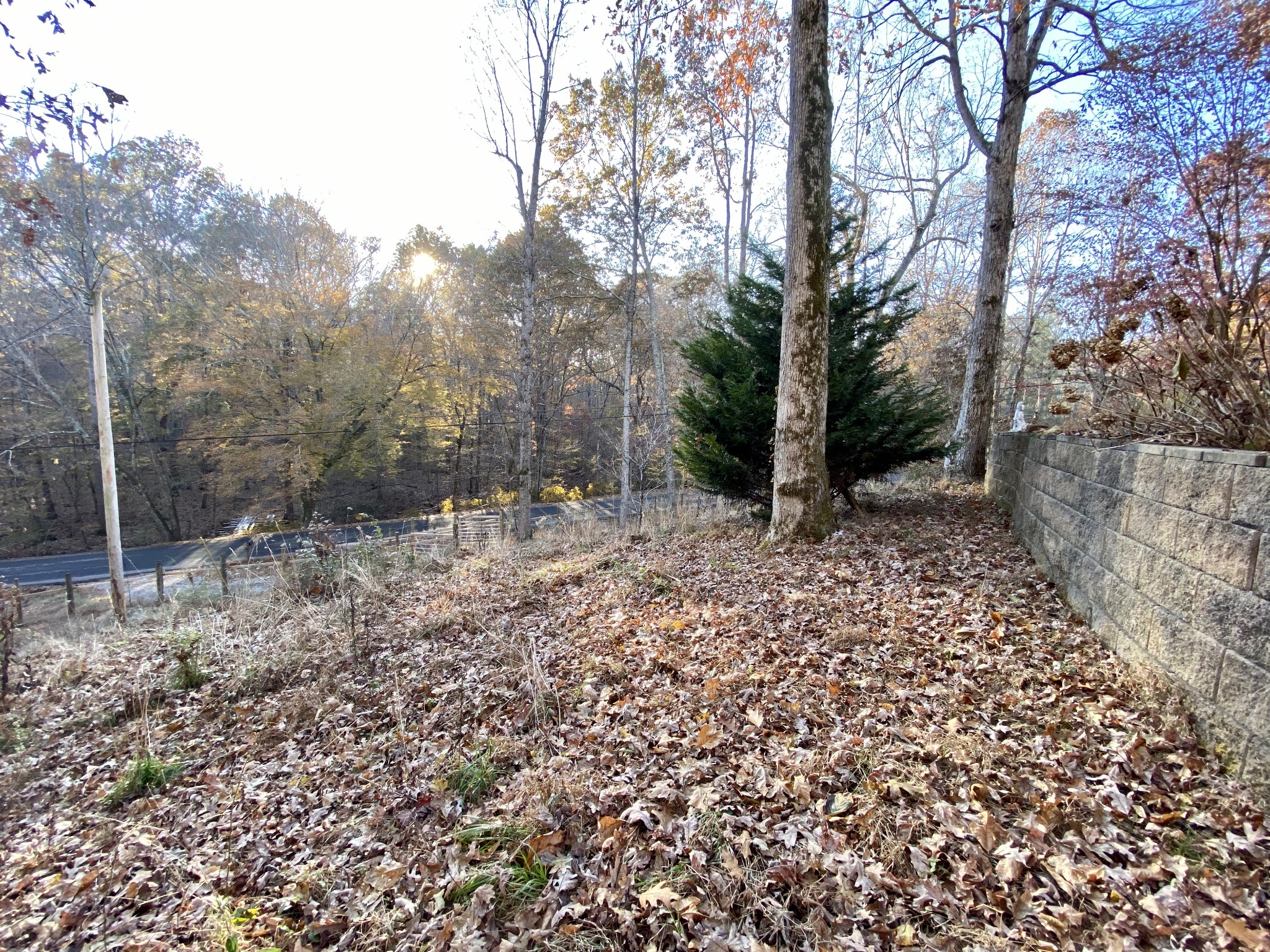 7456 Sleepy Hollow Road Fairview, TN 37062 - Photo 15 of 28 Gallery Image 15