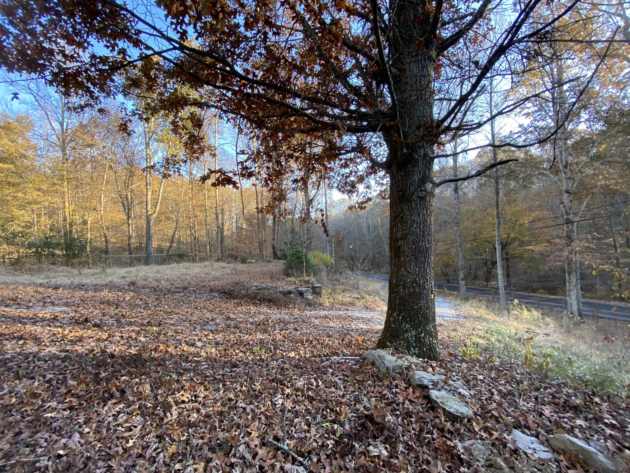 7456 Sleepy Hollow Road Fairview, TN 37062 - Photo 17 of 28 Gallery Image 17