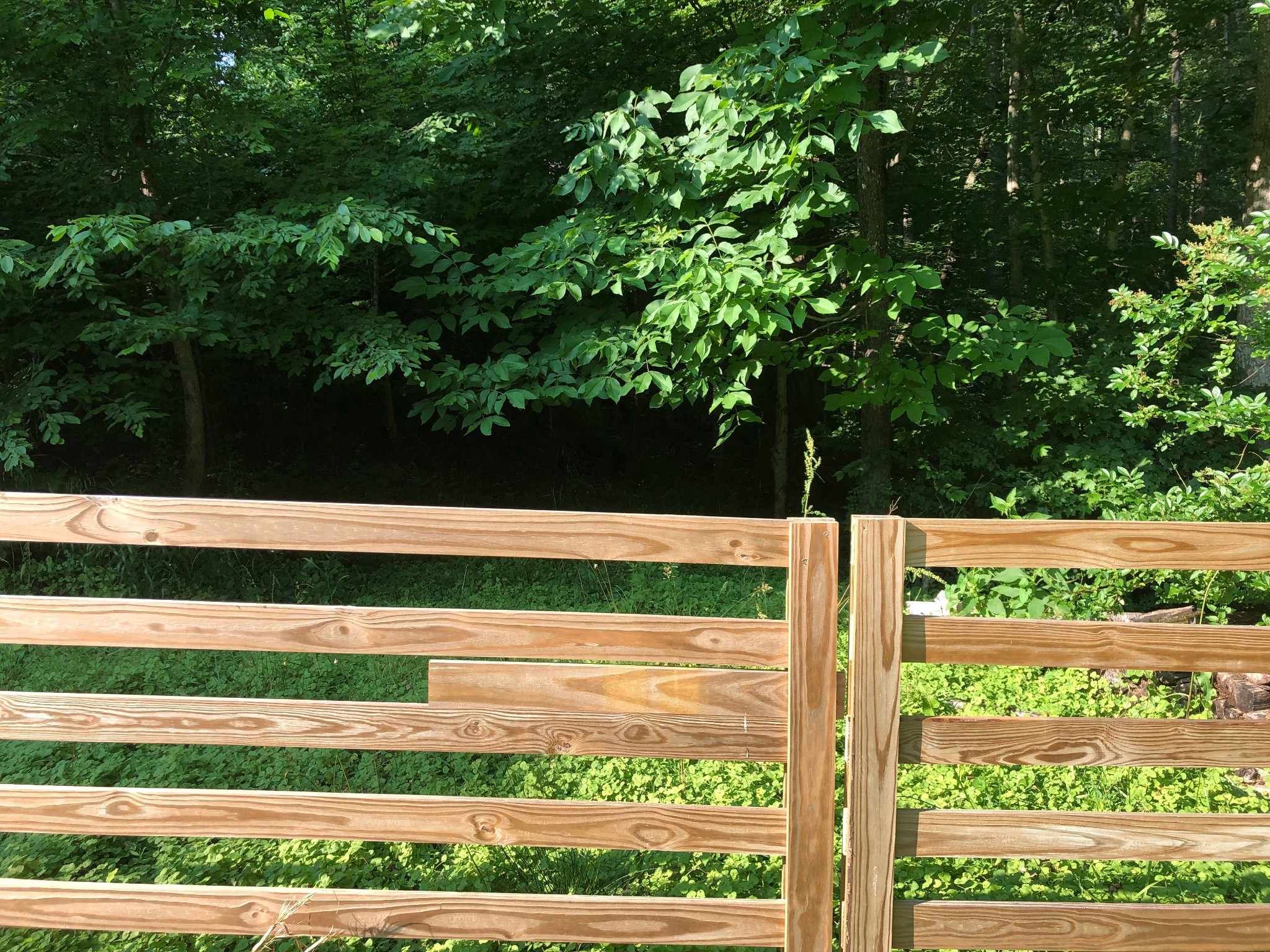 7456 Sleepy Hollow Road Fairview, TN 37062 - Photo 19 of 28 Gallery Image 19