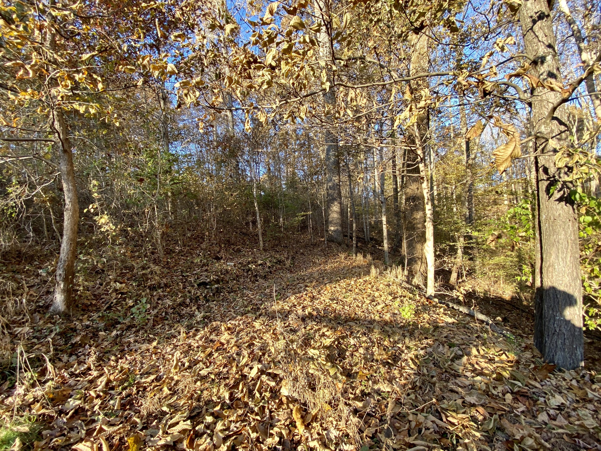 7456 Sleepy Hollow Road Fairview, TN 37062 - Photo 22 of 28 Gallery Image 22