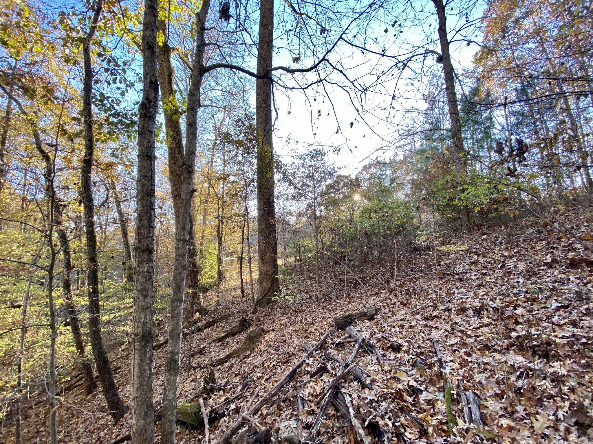 7456 Sleepy Hollow Road Fairview, TN 37062 - Photo 24 of 28 Gallery Image 24