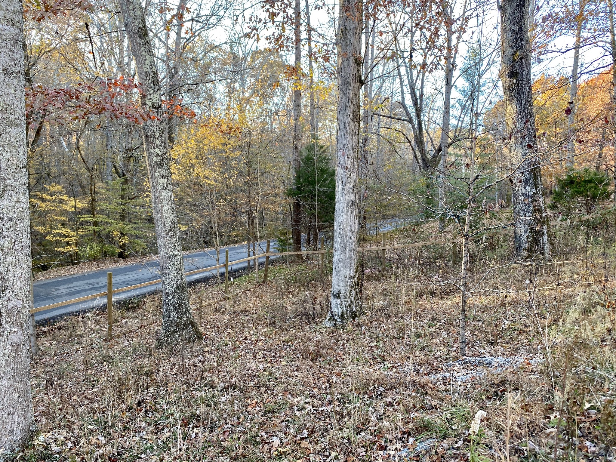 7456 Sleepy Hollow Road Fairview, TN 37062 - Photo 26 of 28 Gallery Image 26
