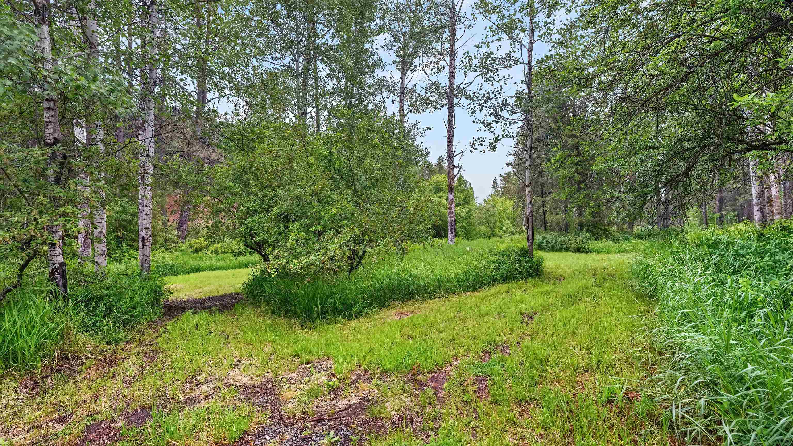 515 West Chattaroy Road Colbert, WA 99005 - Photo 40 of 50
