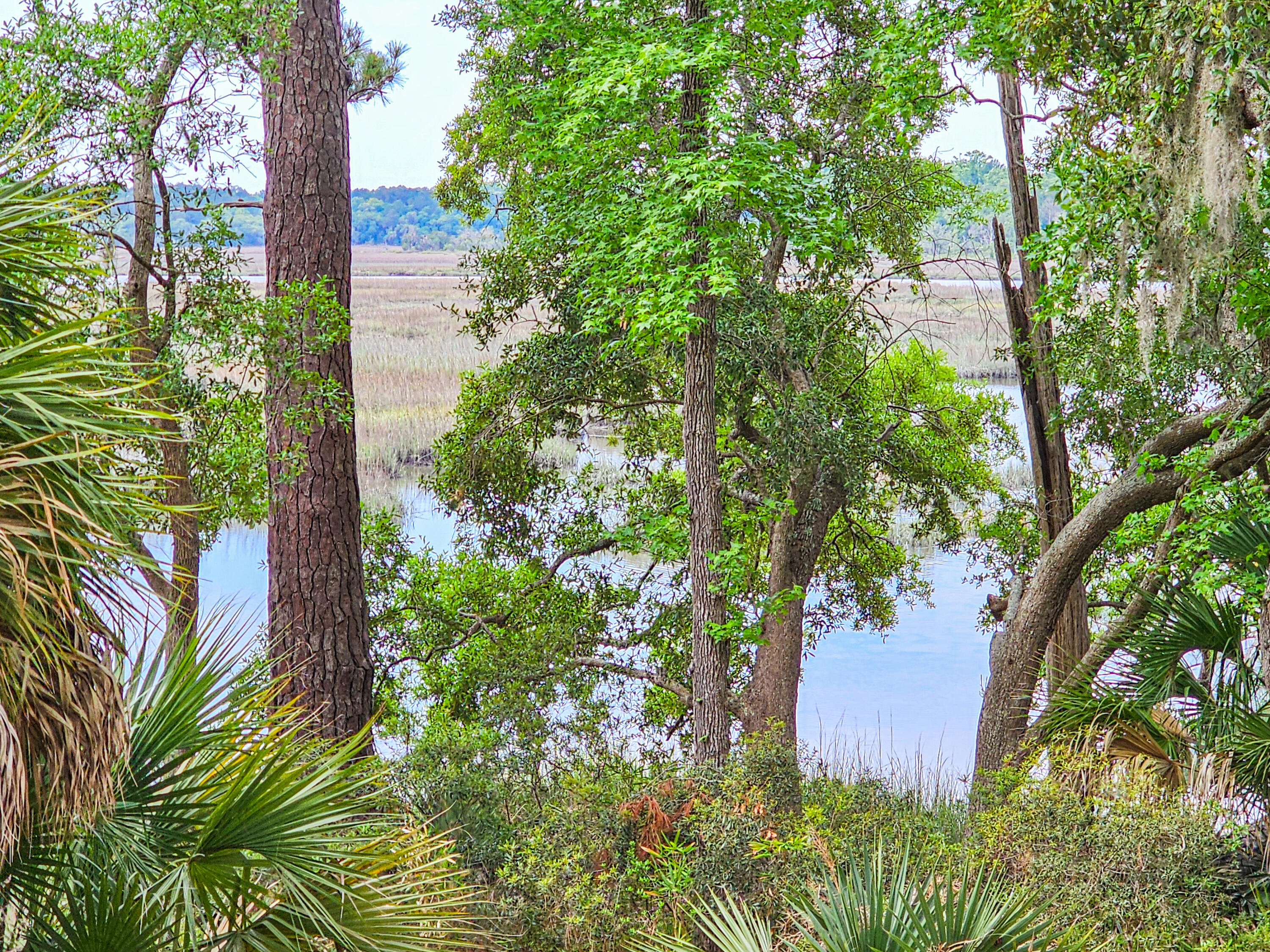 17 Blake Lane Seabrook, SC 29940 - Photo 81 of 82 20260506_104905