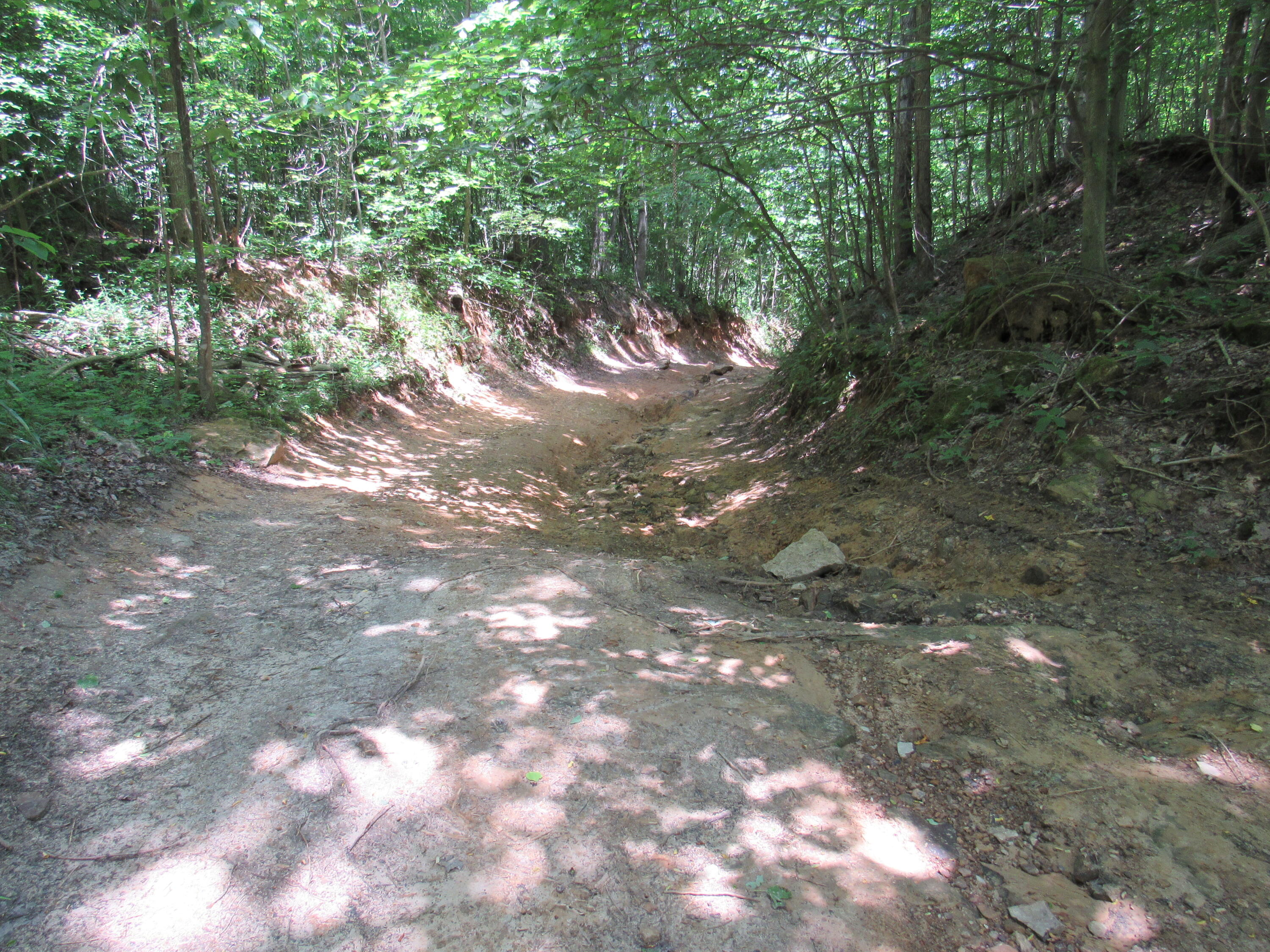 80 Pumpkin Hollow Road Frenchburg, KY 40322 - Photo 1 of 3 IMG_6744