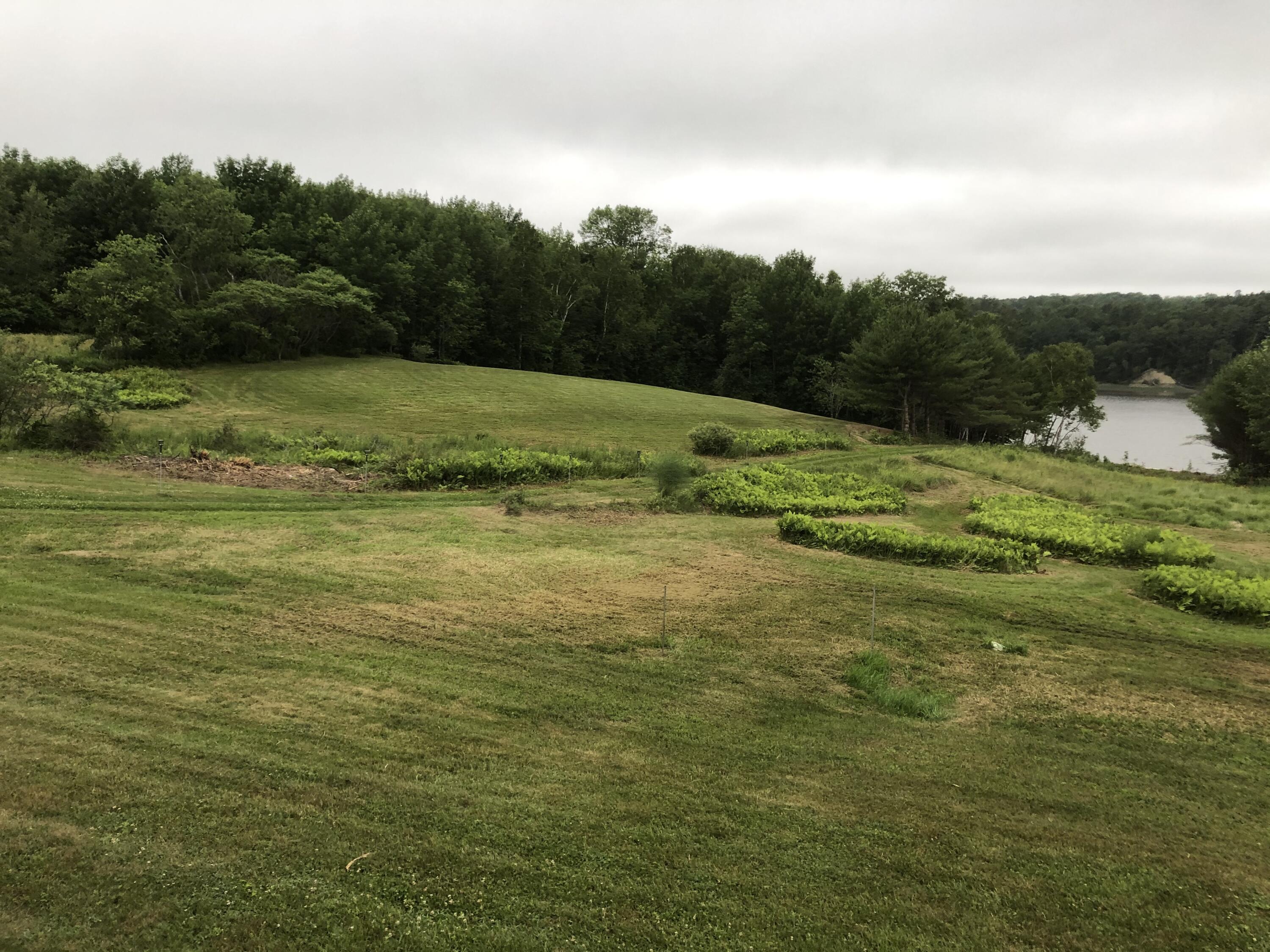 881 River Road Orrington, ME 04474 - Photo 41 of 50 viewsummerdeck