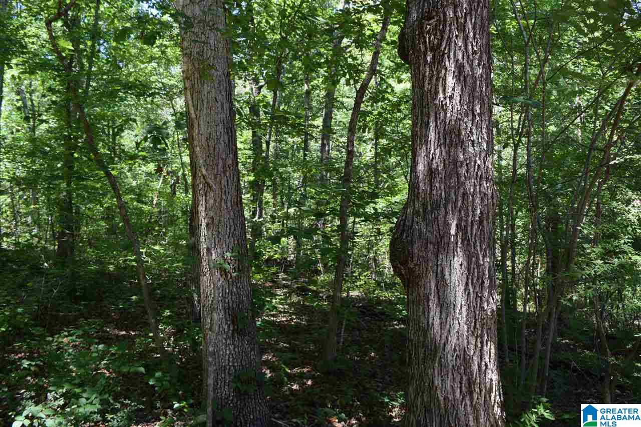 2 Westbrook Drive Hayden, AL 35079 - Photo 22 of 22