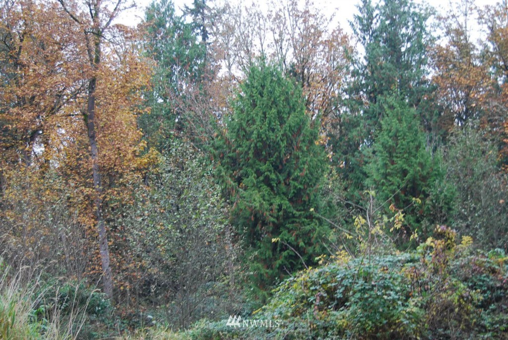 29300 Southeast Issaquah-Fall City Road Fall City, WA 98024 - Photo 3 of 5 Gallery Image 3