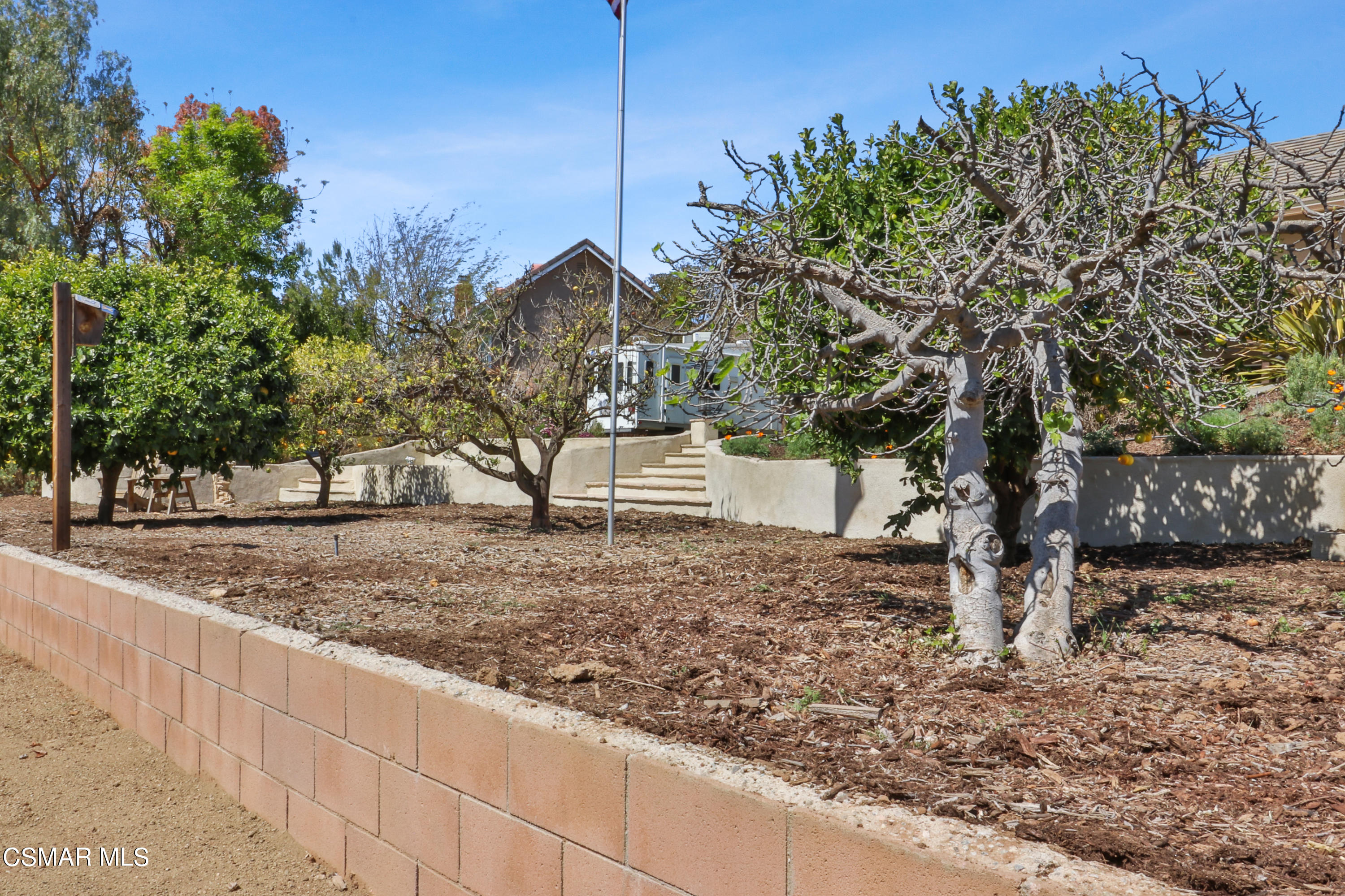 243 Longbranch Road Simi Valley, CA 93065 - Photo 68 of 77 a view of a yard with a tree