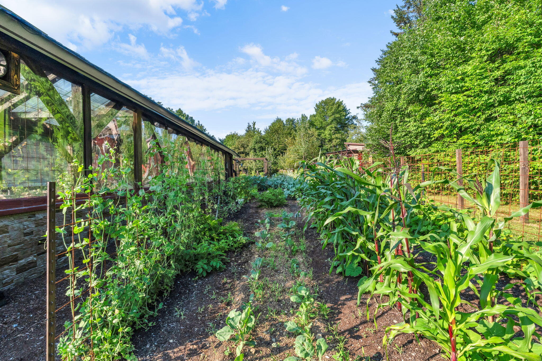 145 East Road Bradford, ME 04410 - Photo 47 of 107 Greenhouse