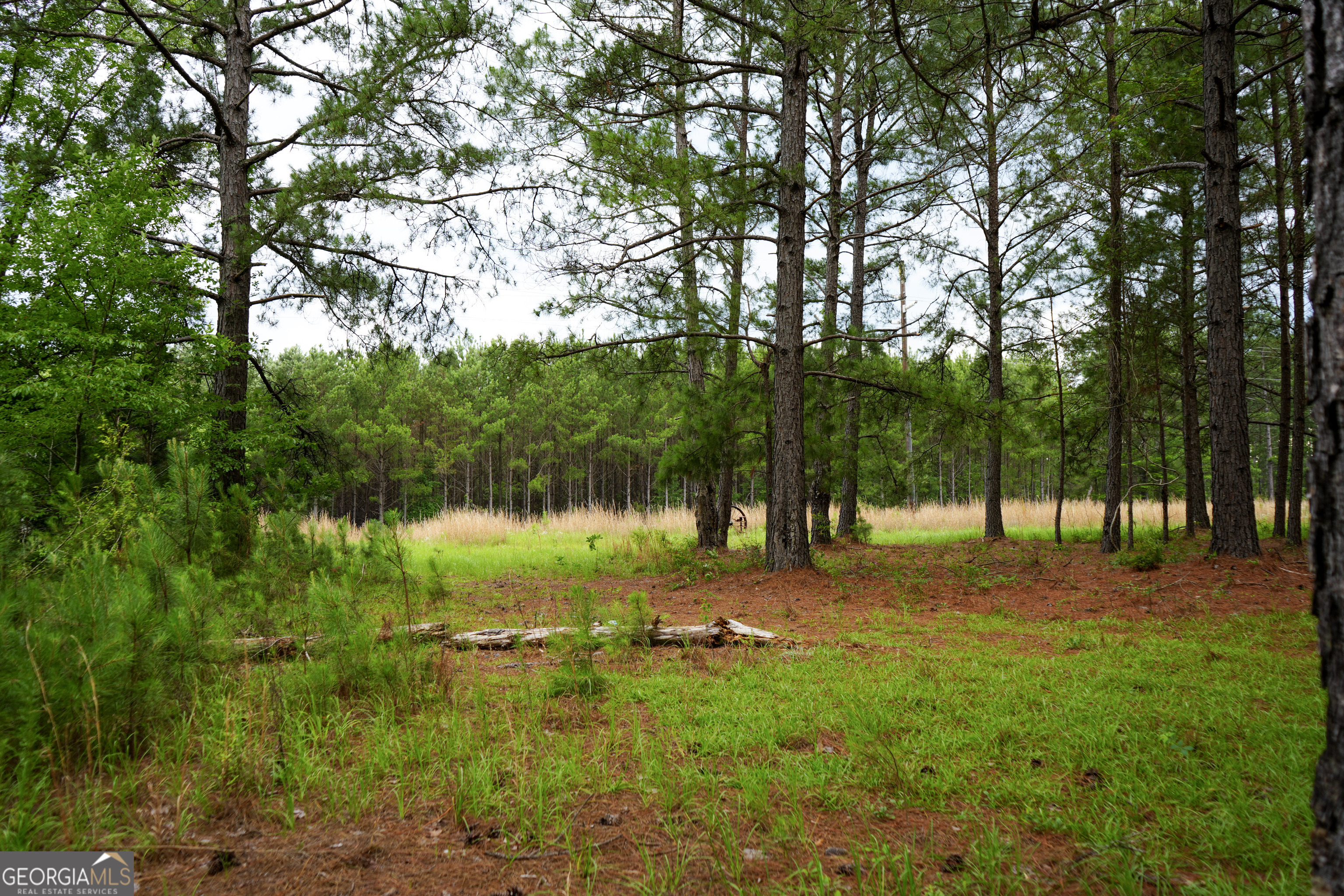 1869 Minter Blue Springs Road Rockledge, GA 30454 - Photo 38 of 45 a backyard of a house with lots of green space