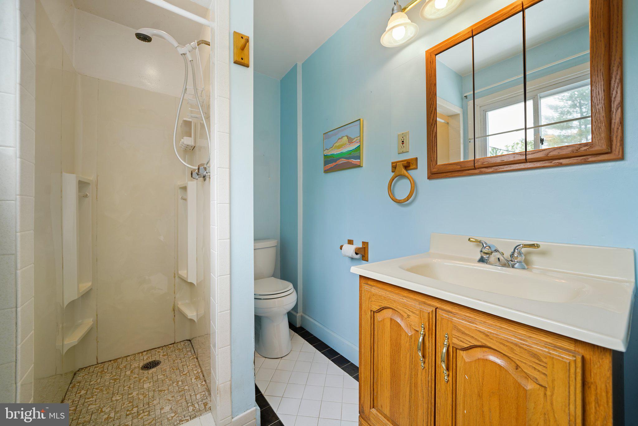 172 Mansion Road Newtown Square, PA 19073 - Photo 24 of 36 Main Bedroom Bath