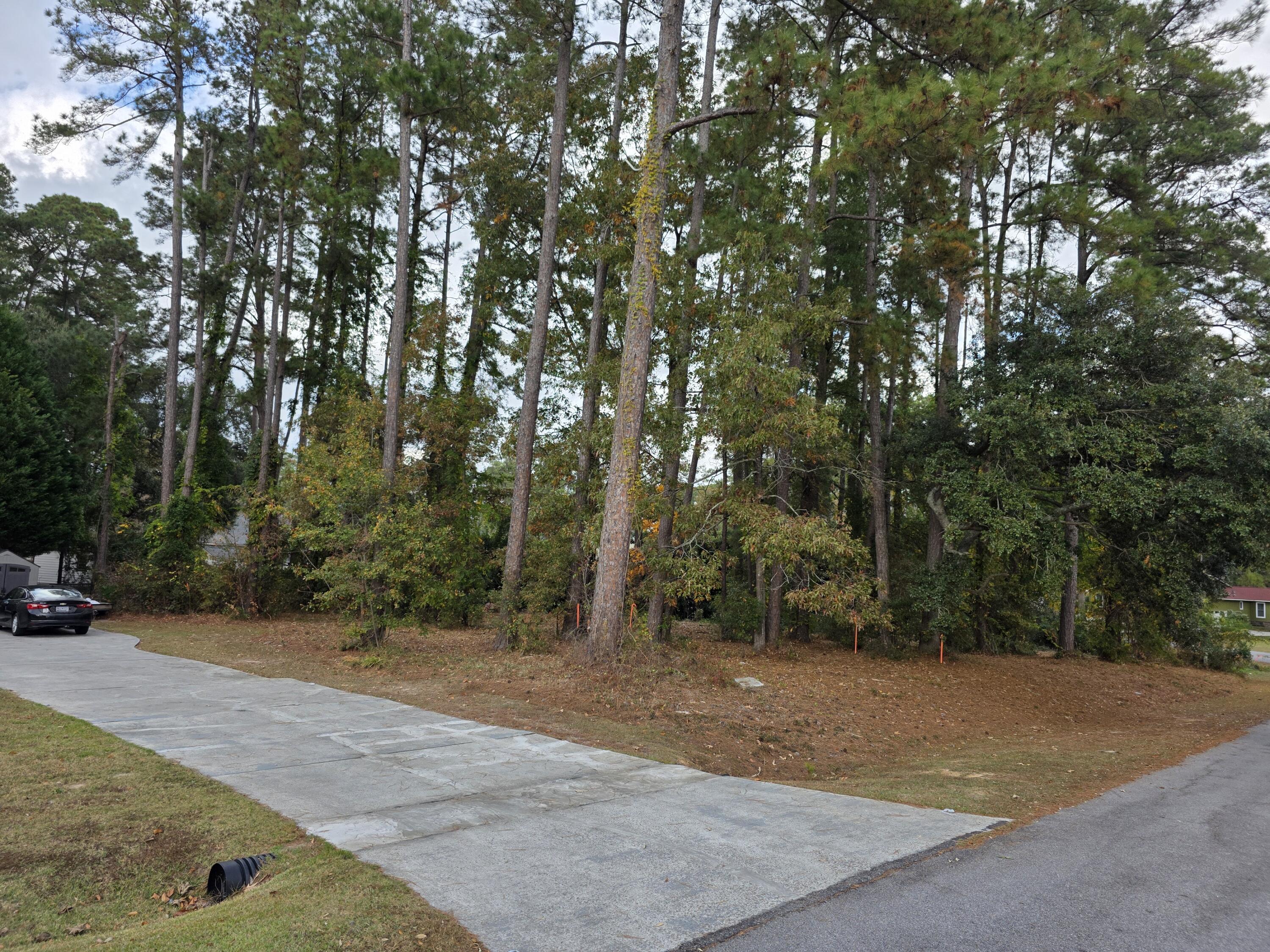 128 Cooper Circle Santee, SC 29142 - Photo 31 of 70 20251125_135929