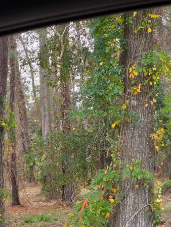 $85,000 | 128 Cooper Circle, Santee, SC 29142