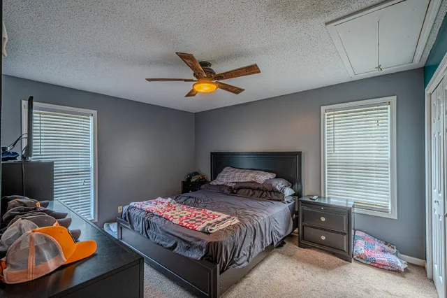 a bathroom with a sink a toilet and shower curtain