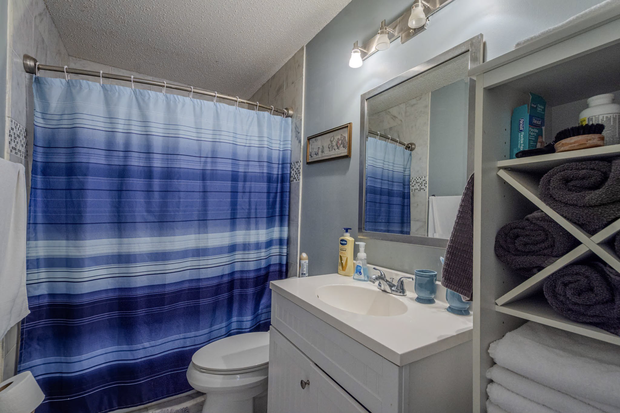 25230 Union Hill Road Ardmore, TN 38449 - Photo 37 of 55 a bathroom with a sink a toilet and shower curtain