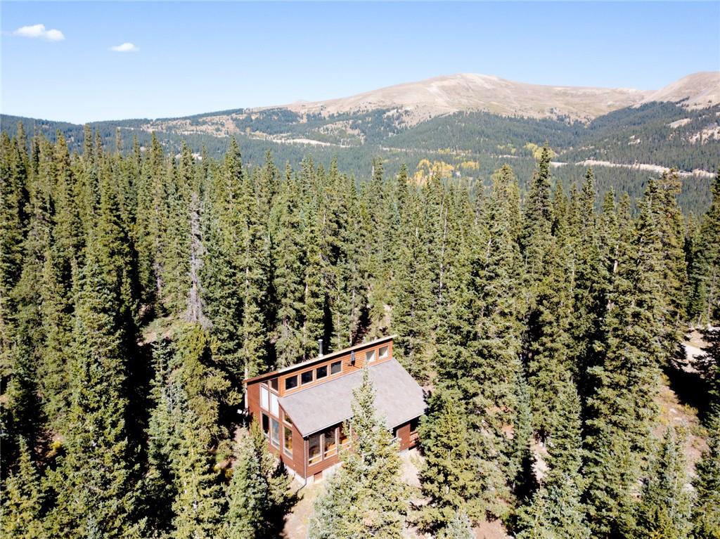 343 Ansley Road Alma, CO 80420 - Photo 1 of 35 Gallery Image 1