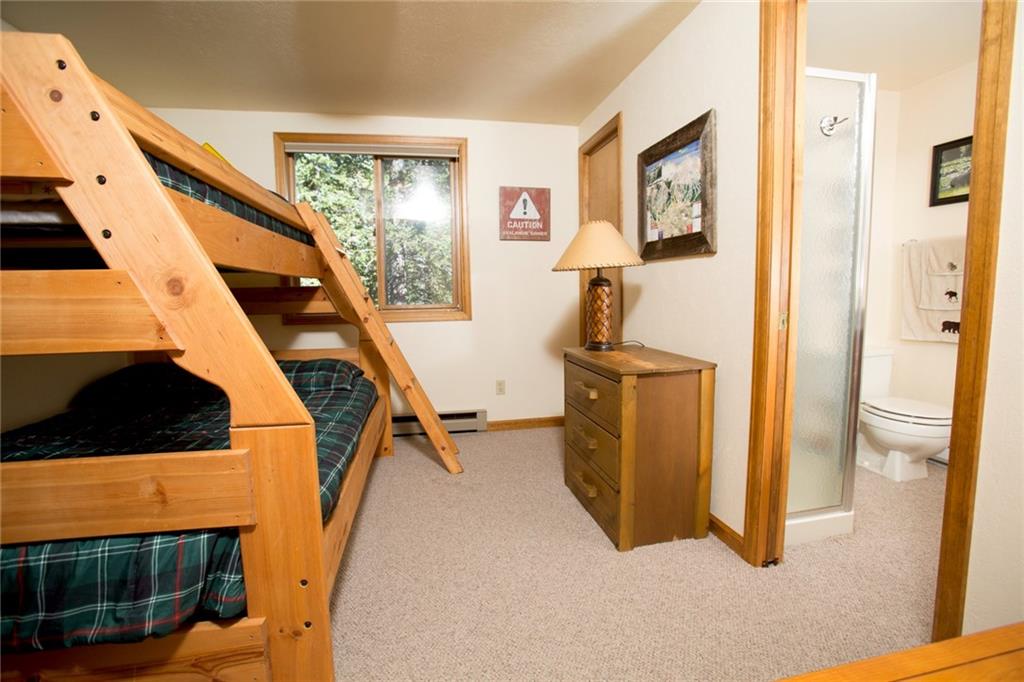 343 Ansley Road Alma, CO 80420 - Photo 14 of 35 Gallery Image 14