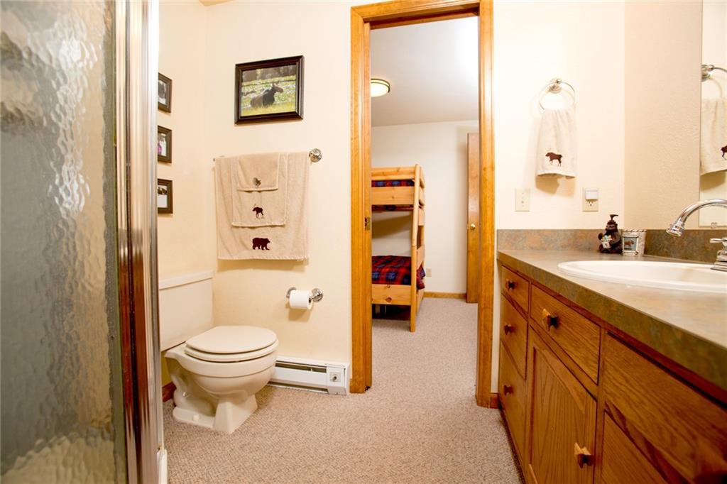343 Ansley Road Alma, CO 80420 - Photo 15 of 35 Gallery Image 15