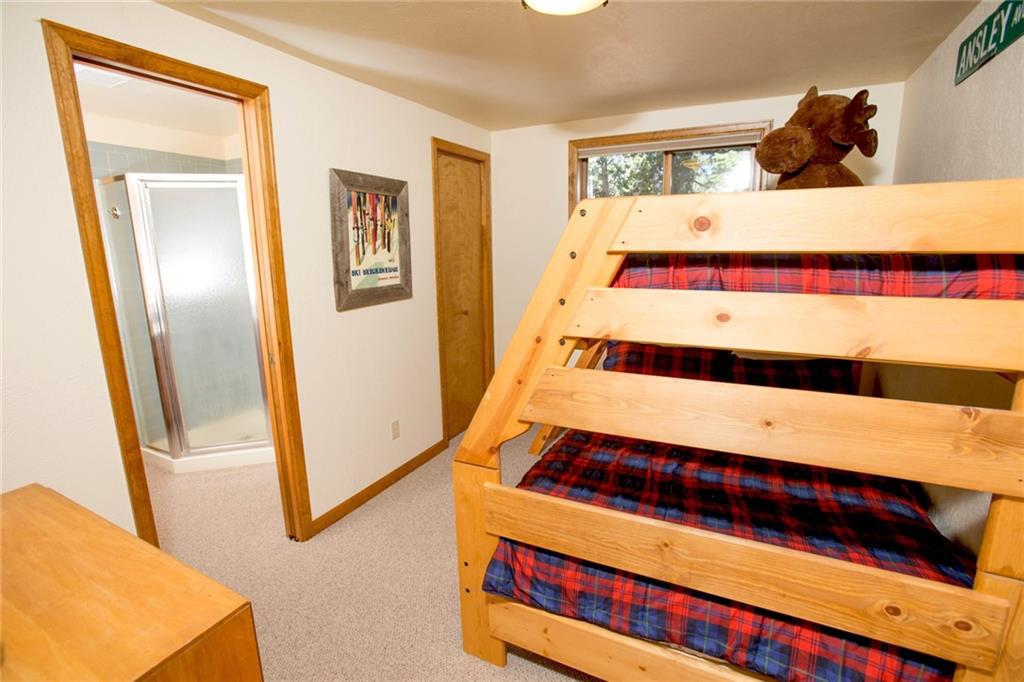 343 Ansley Road Alma, CO 80420 - Photo 16 of 35 Gallery Image 16