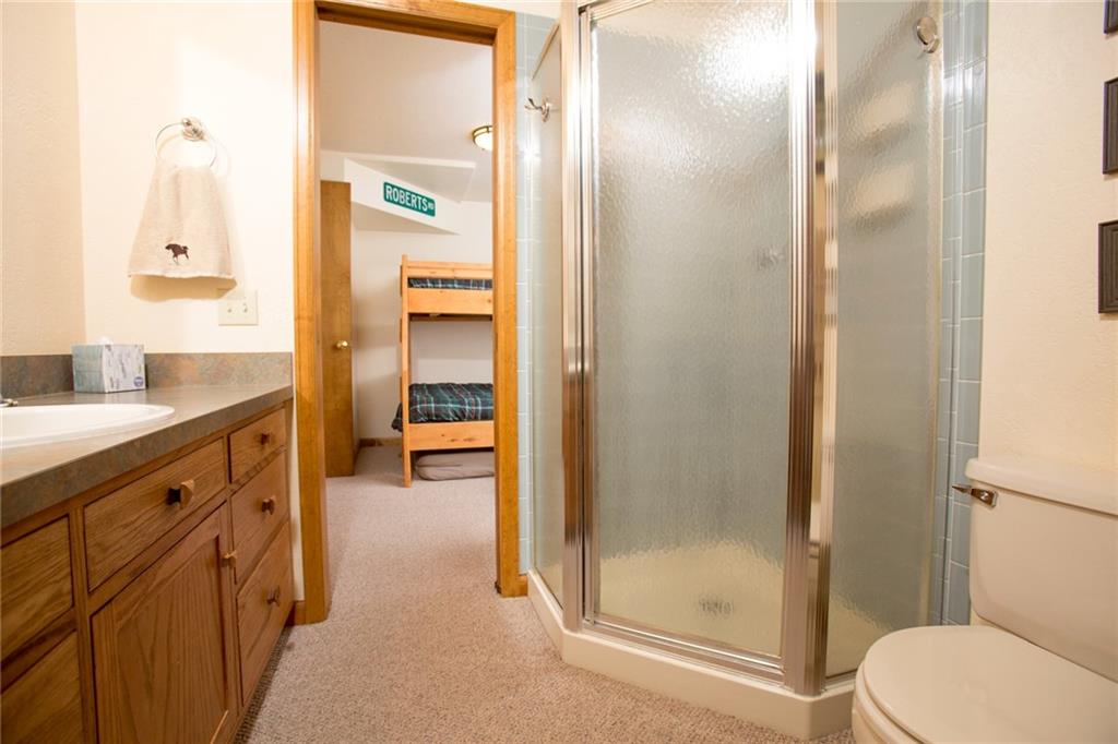 343 Ansley Road Alma, CO 80420 - Photo 17 of 35 Gallery Image 17