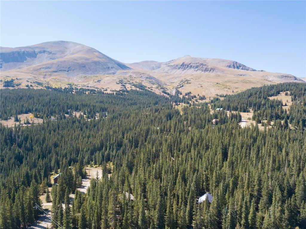 343 Ansley Road Alma, CO 80420 - Photo 19 of 35 Gallery Image 19