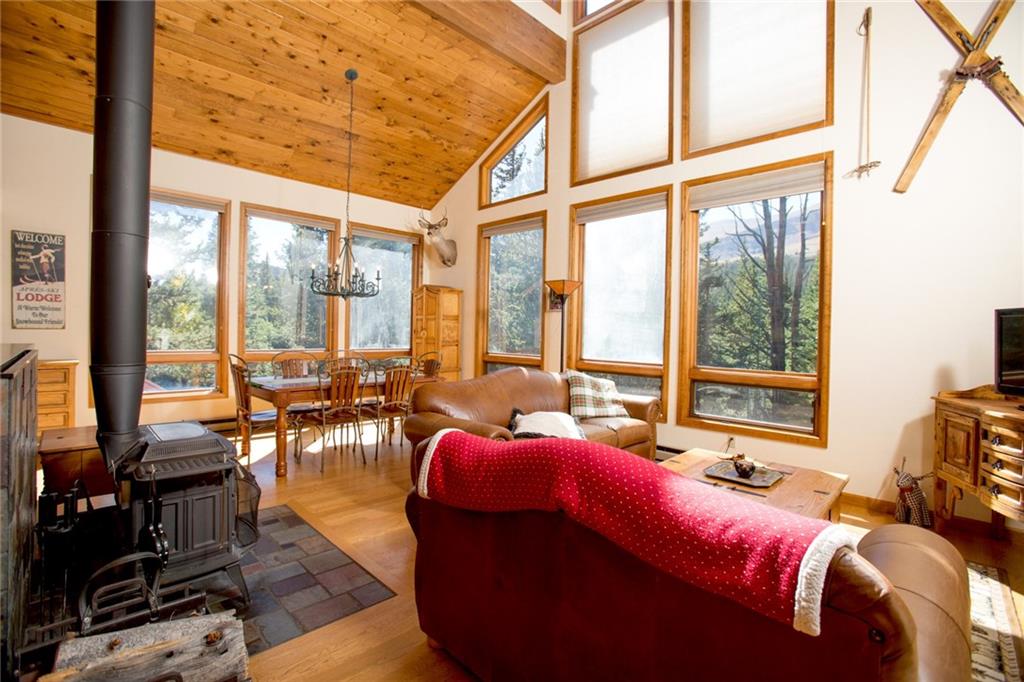343 Ansley Road Alma, CO 80420 - Photo 21 of 35 Gallery Image 21