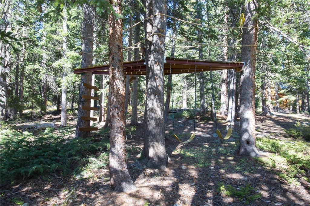 343 Ansley Road Alma, CO 80420 - Photo 24 of 35 Gallery Image 24