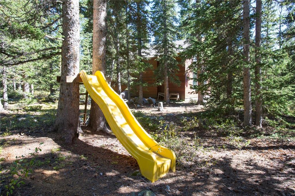 343 Ansley Road Alma, CO 80420 - Photo 25 of 35 Gallery Image 25