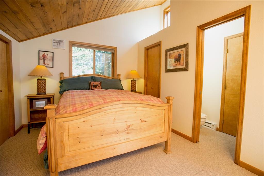 343 Ansley Road Alma, CO 80420 - Photo 28 of 35 Gallery Image 28