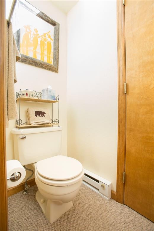 343 Ansley Road Alma, CO 80420 - Photo 31 of 35 Gallery Image 31