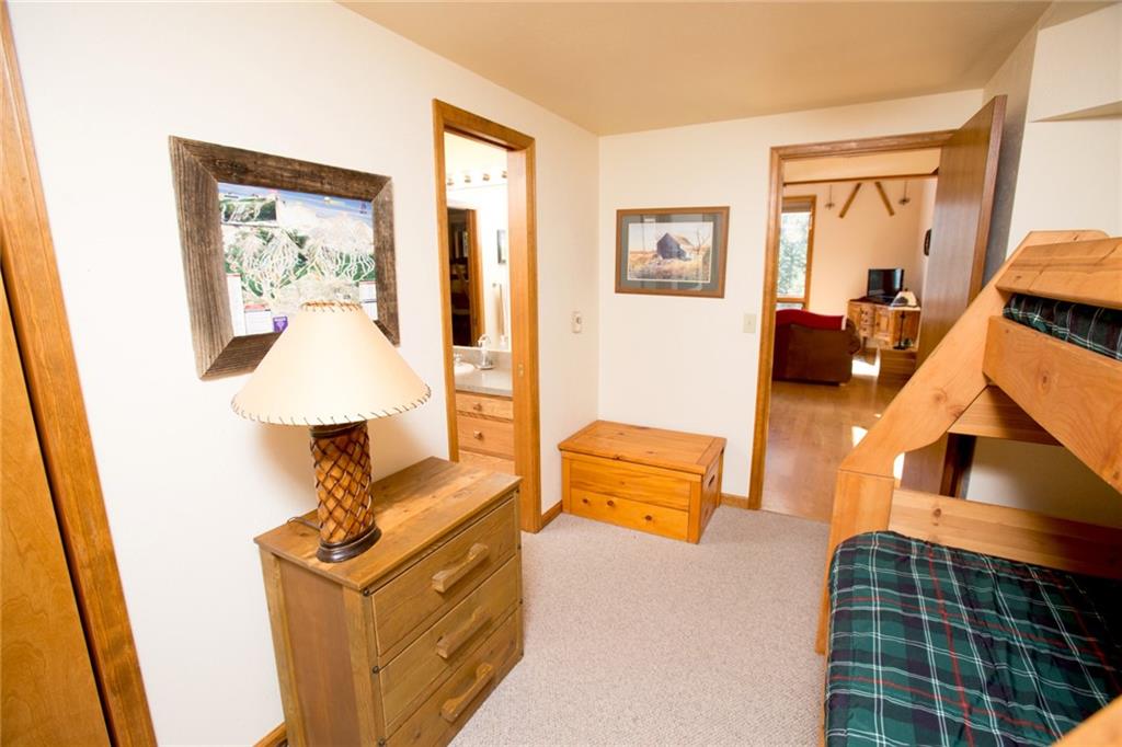 343 Ansley Road Alma, CO 80420 - Photo 34 of 35 Gallery Image 34