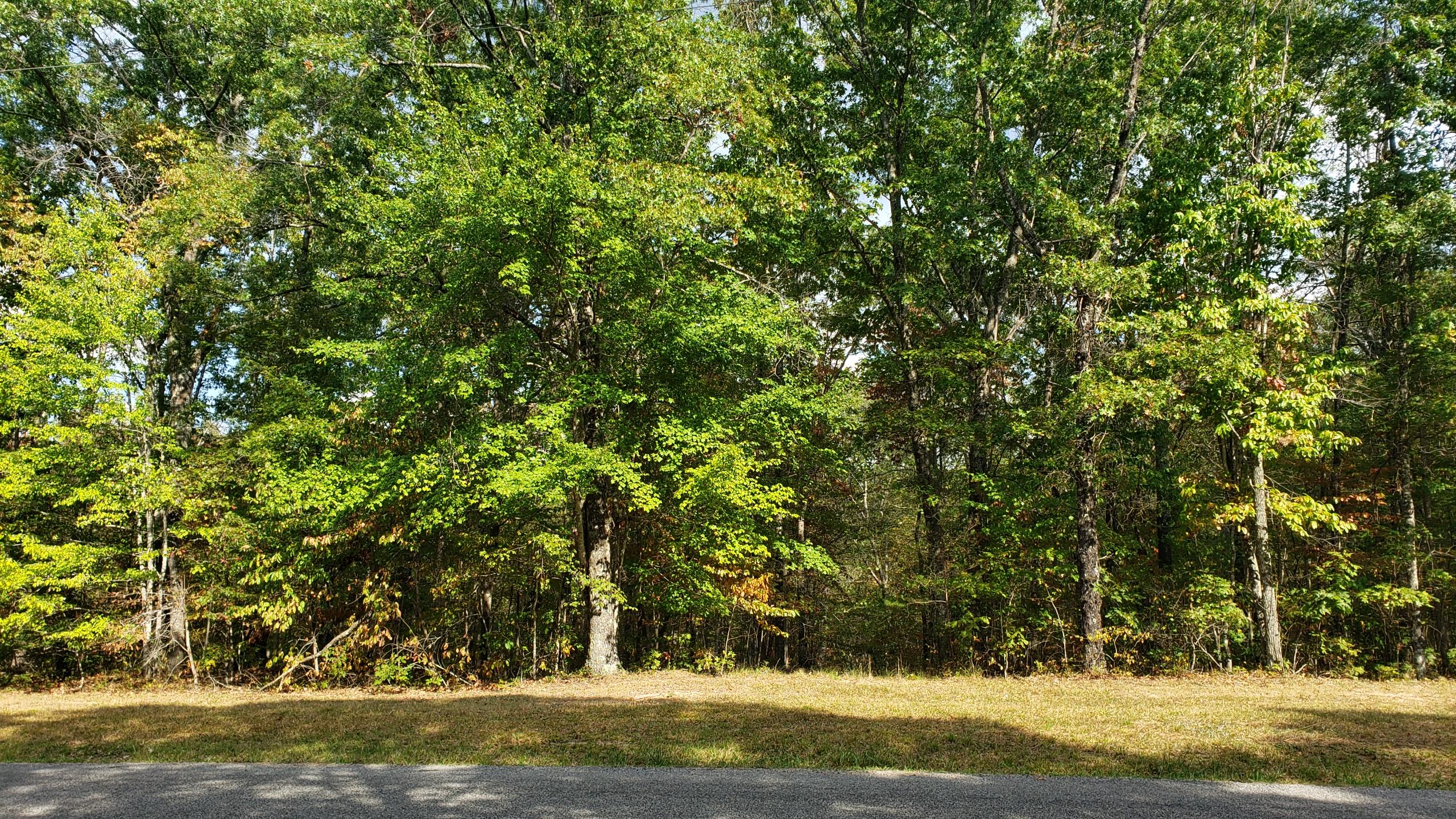Lot 9 Woodland Ridge Road, Unit 9 Dunlap, TN 37327 - Photo 3 of 6 20191001_145120
