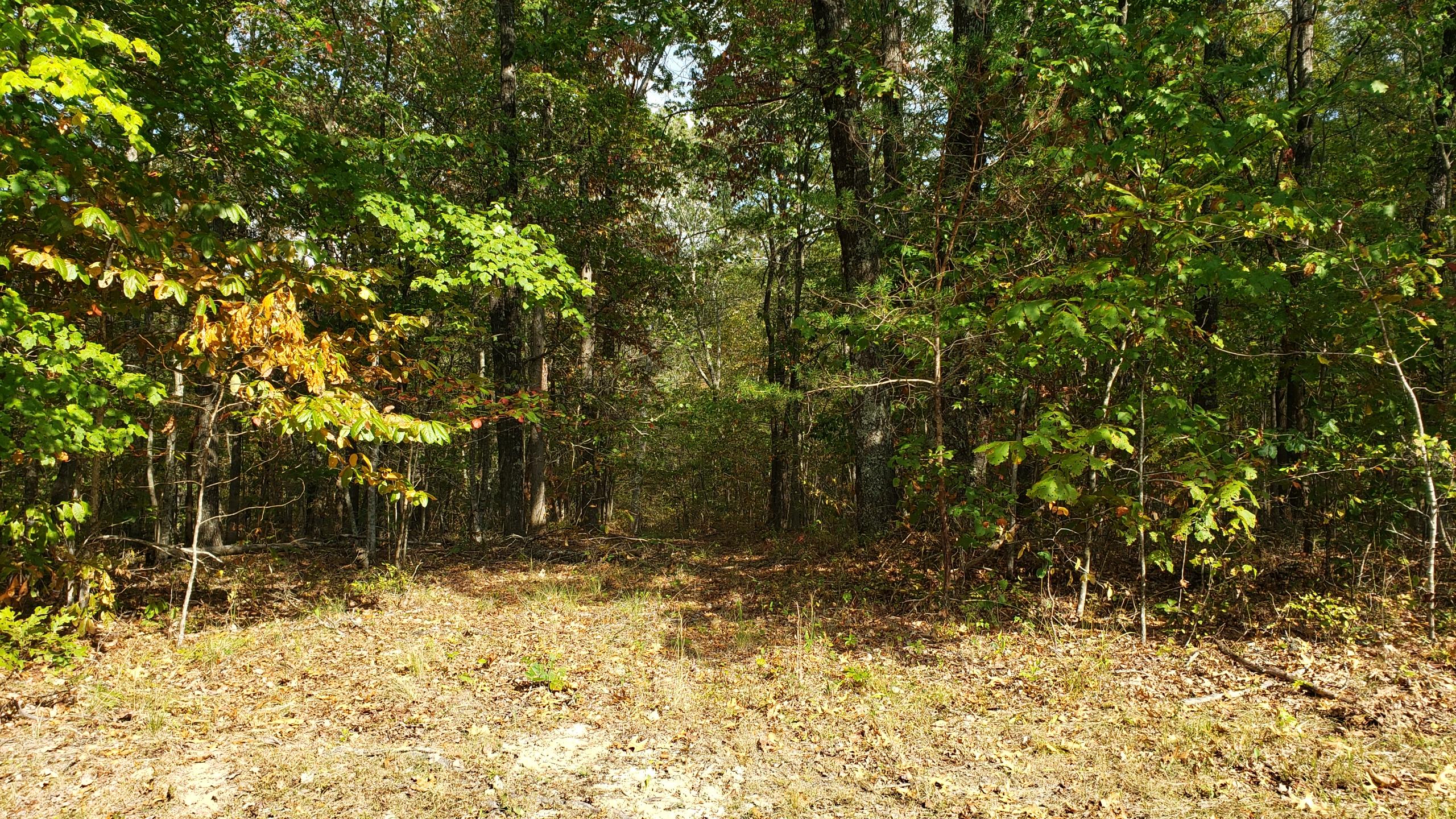 Lot 9 Woodland Ridge Road, Unit 9 Dunlap, TN 37327 - Photo 4 of 6 20191001_145143
