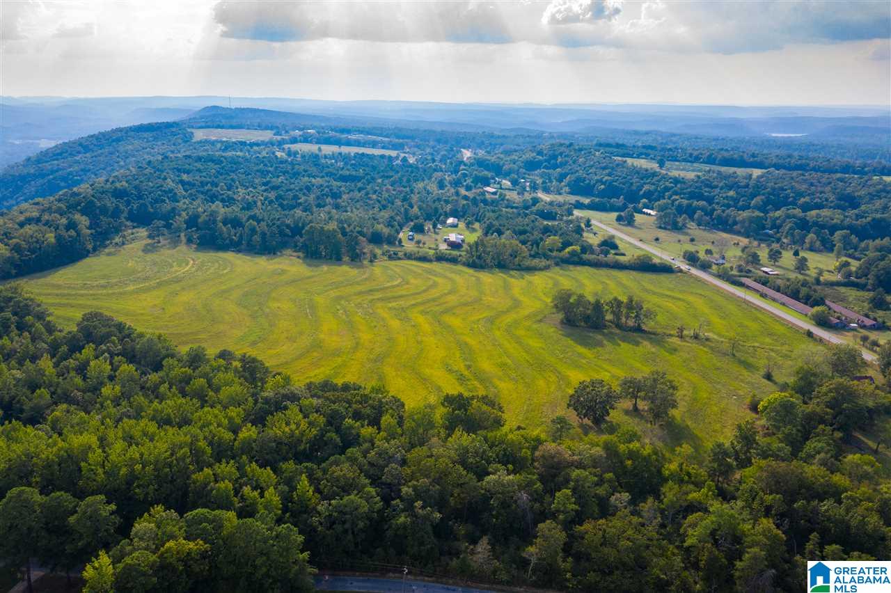 0 County Road 27, Unit 46 ACRES Springville, AL 35146 - Photo 2 of 11