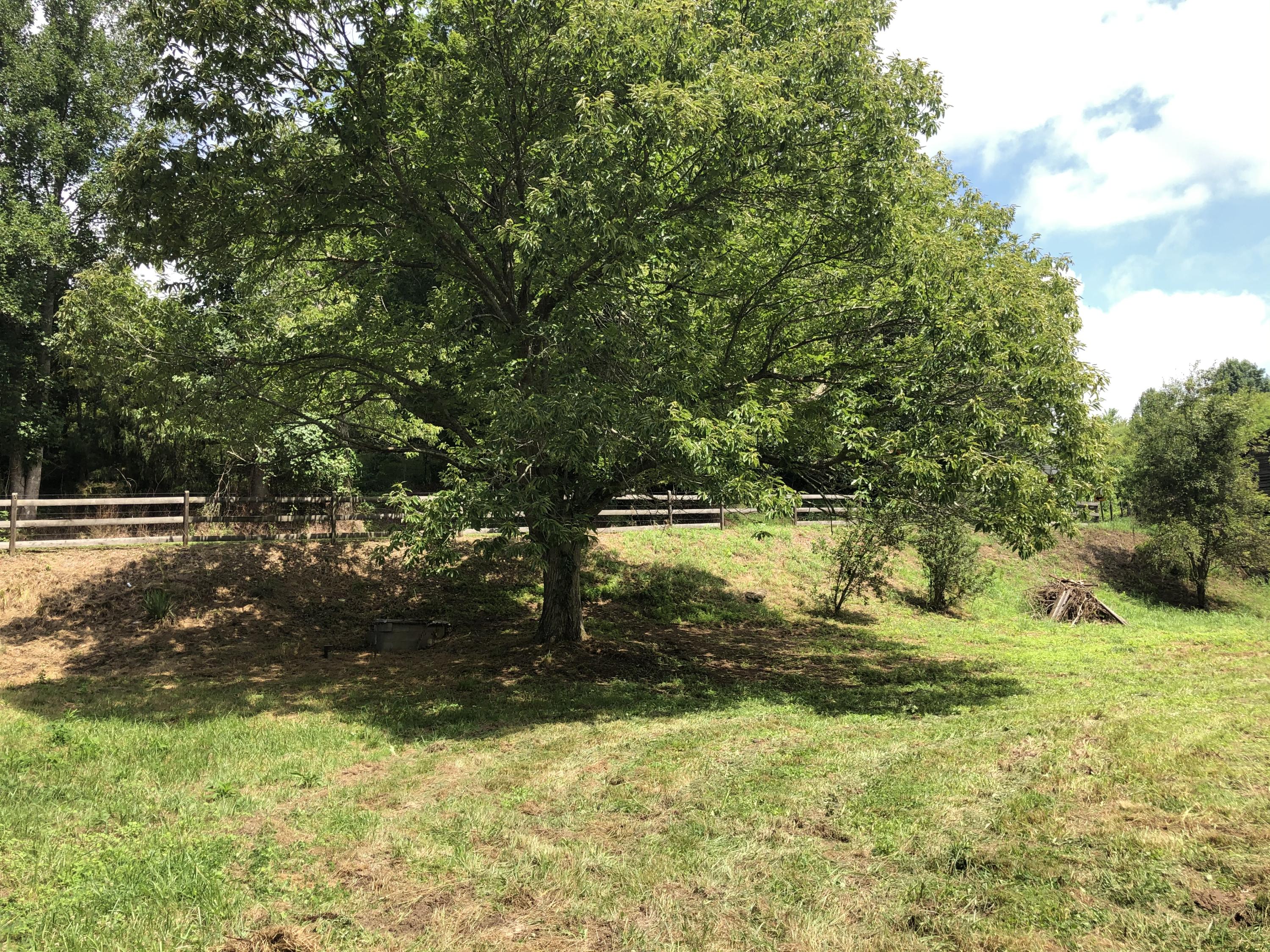 10929 Fairview Road Duffield, VA 24244 - Photo 12 of 52 Photo Jul 26, 12 12 19 PM