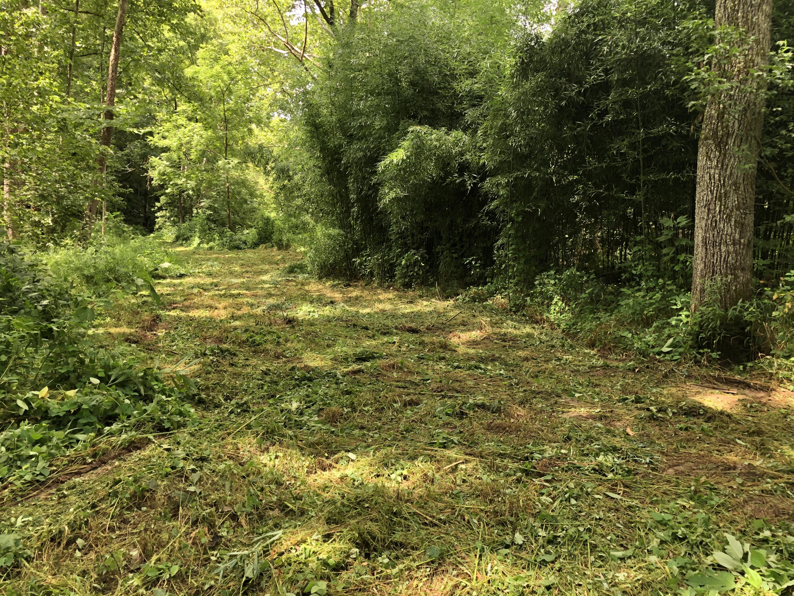 10929 Fairview Road Duffield, VA 24244 - Photo 25 of 52 Photo Jul 26, 12 27 52 PM