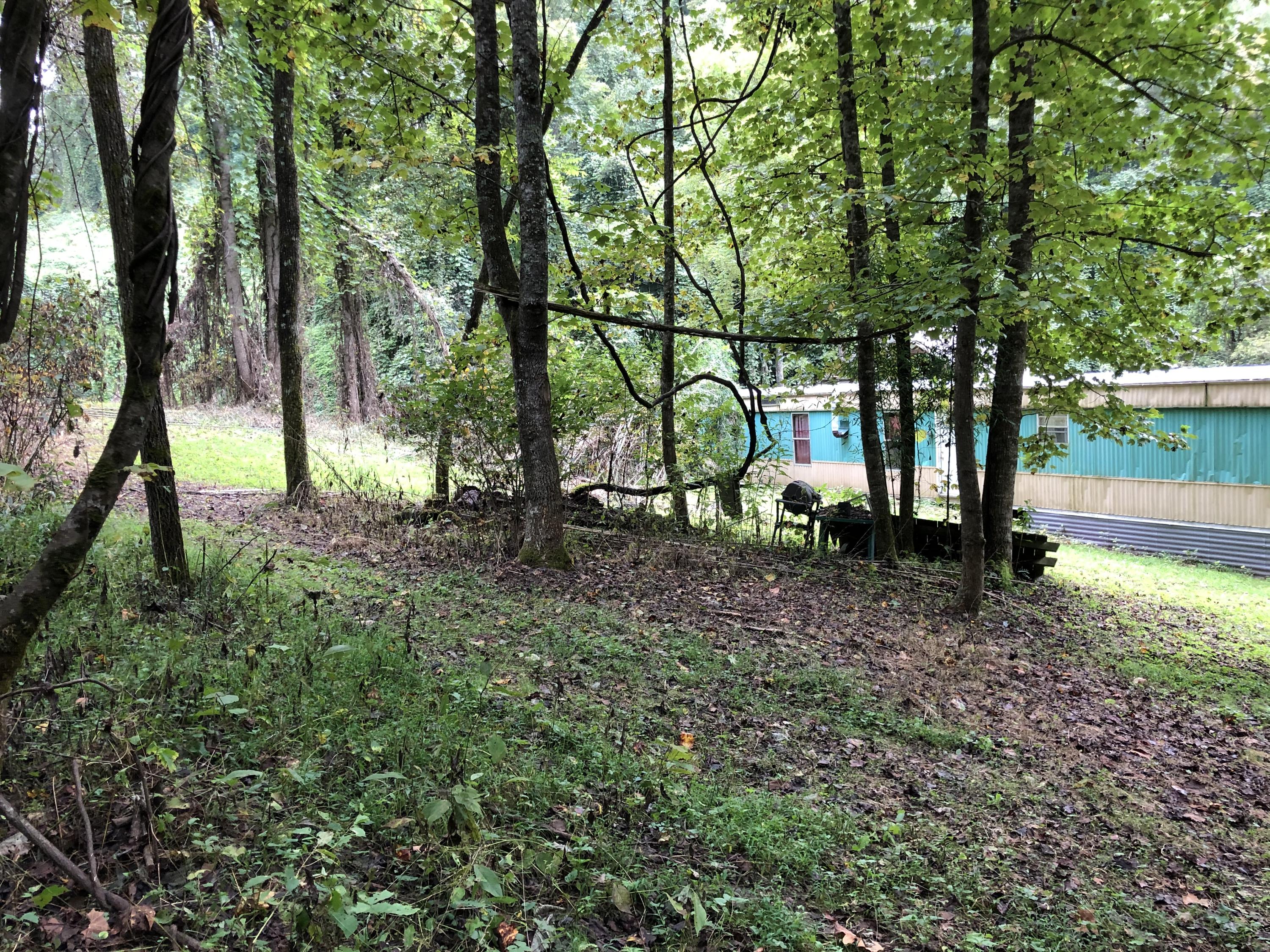 10929 Fairview Road Duffield, VA 24244 - Photo 27 of 52 Photo Sep 27, 3 26 30 PM
