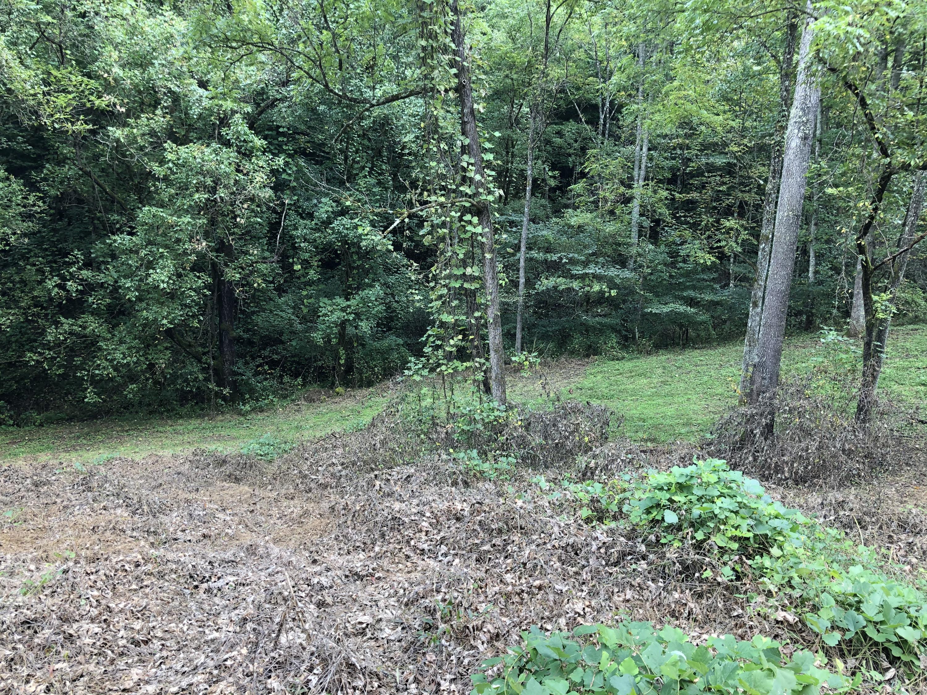 10929 Fairview Road Duffield, VA 24244 - Photo 35 of 52 Photo Sep 27, 3 19 26 PM
