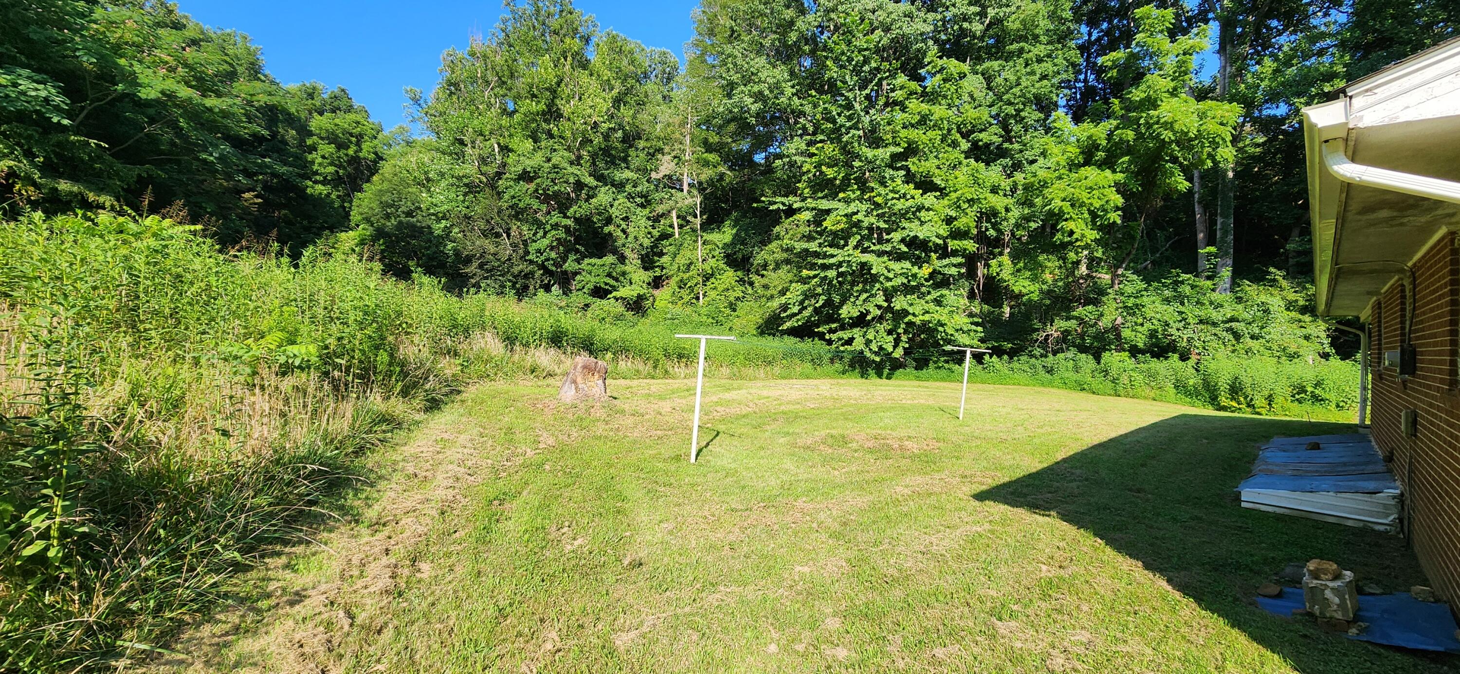 1762 Runnett Bag Road Ferrum, VA 24088 - Photo 14 of 14 a view of a backyard
