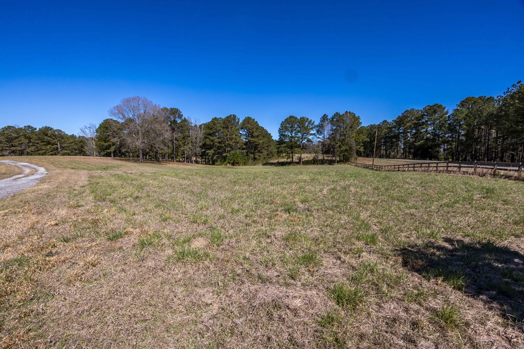 8435 Cartledge Road Box Springs, GA 31801 - Photo 35 of 100 Gallery Image 35