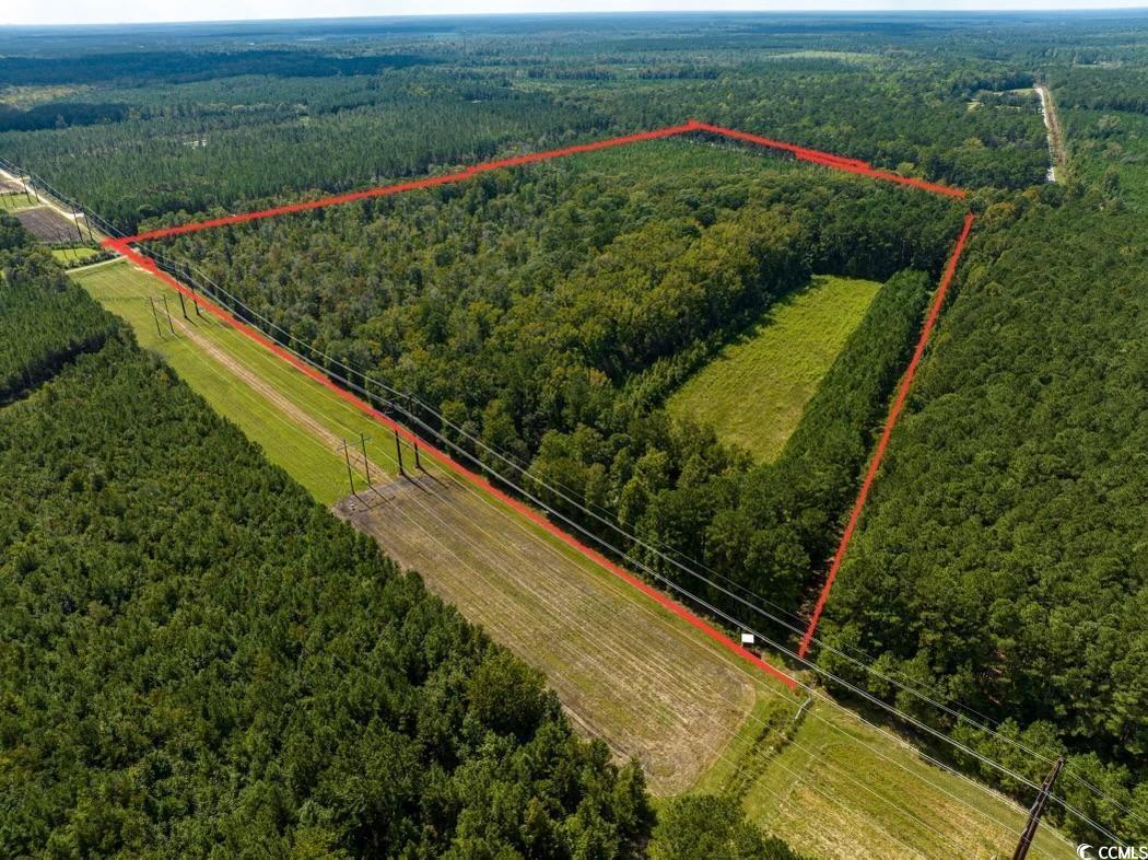 701 SOUTH Georgetown Sc 29440 Hemingway, SC 29554 - Photo 2 of 13