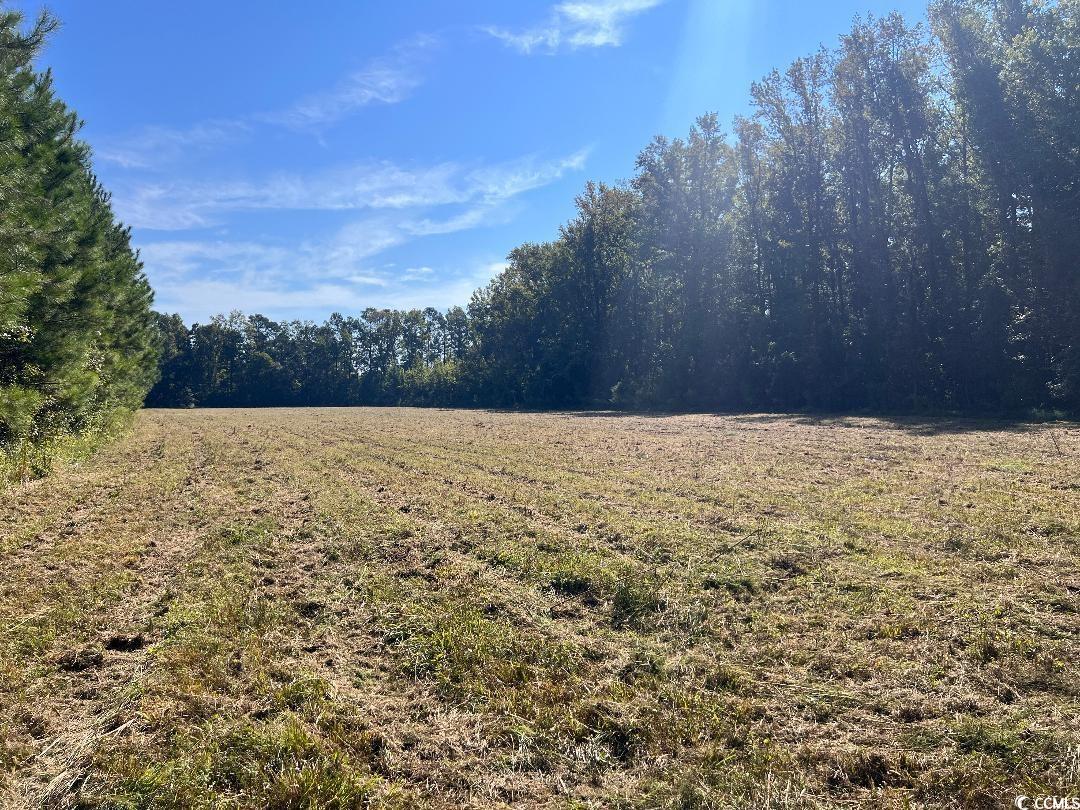 701 SOUTH Georgetown Sc 29440 Hemingway, SC 29554 - Photo 5 of 13