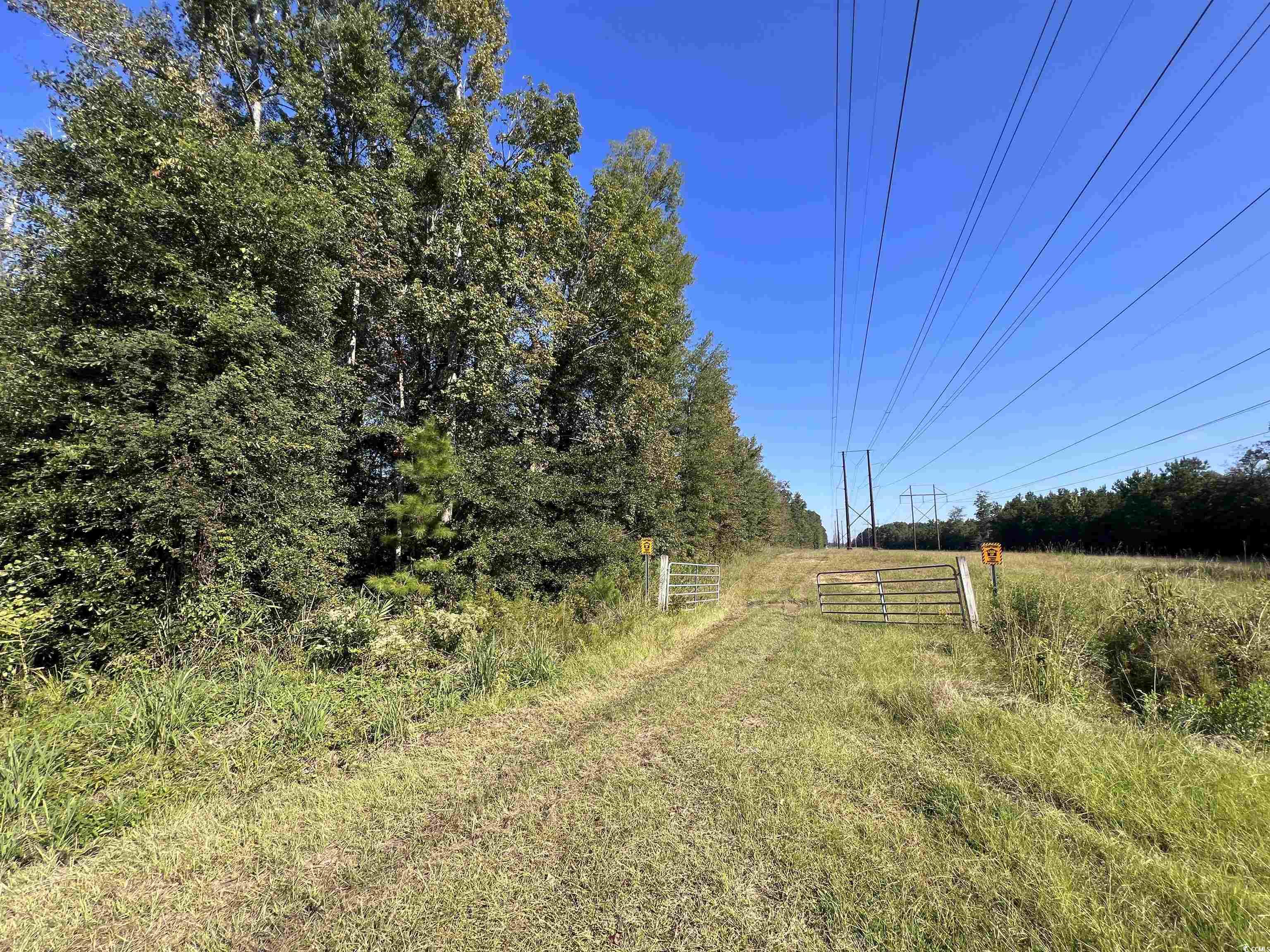 701 SOUTH Georgetown Sc 29440 Hemingway, SC 29554 - Photo 7 of 13