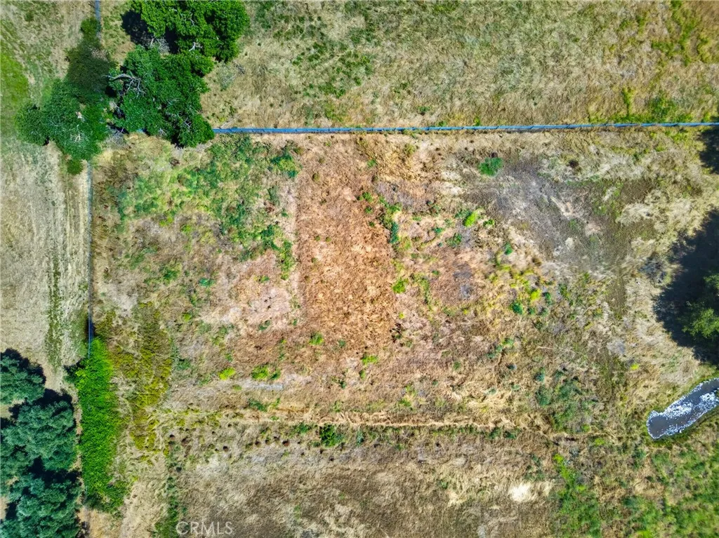 0 Walnut Orangevale, CA 95662 - Photo 19 of 24 a small yard with a tree