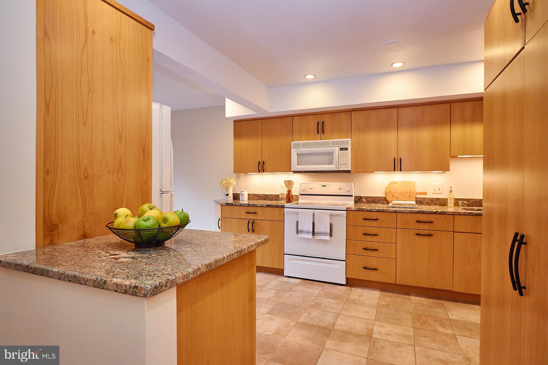 2113 Cabots Point Lane Reston, VA 20191 - Photo 10 of 56 a kitchen with granite countertop a sink and cabinets
