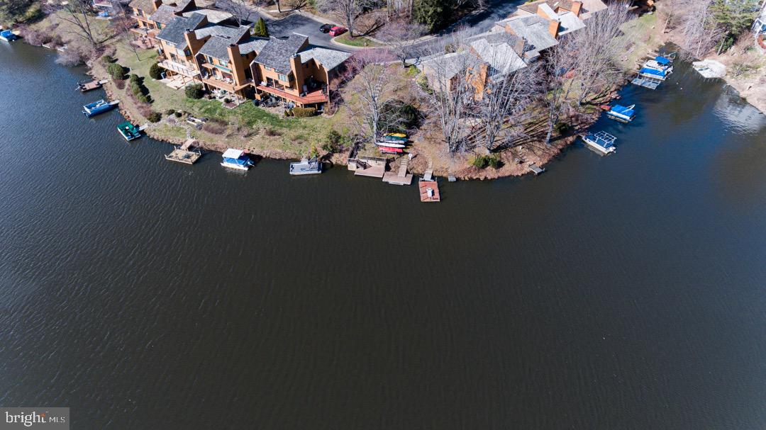 2113 Cabots Point Lane Reston, VA 20191 - Photo 44 of 56 Aerial view of lake shore