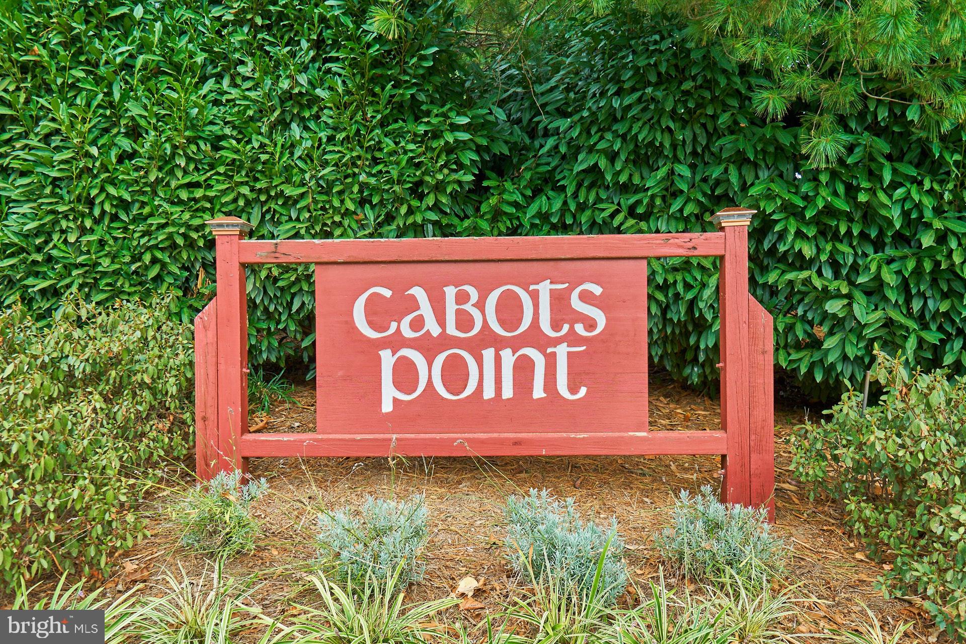 2113 Cabots Point Lane Reston, VA 20191 - Photo 46 of 56 Cabots Point Community!